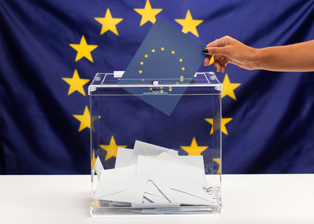 Elezioni europee: voto optanti